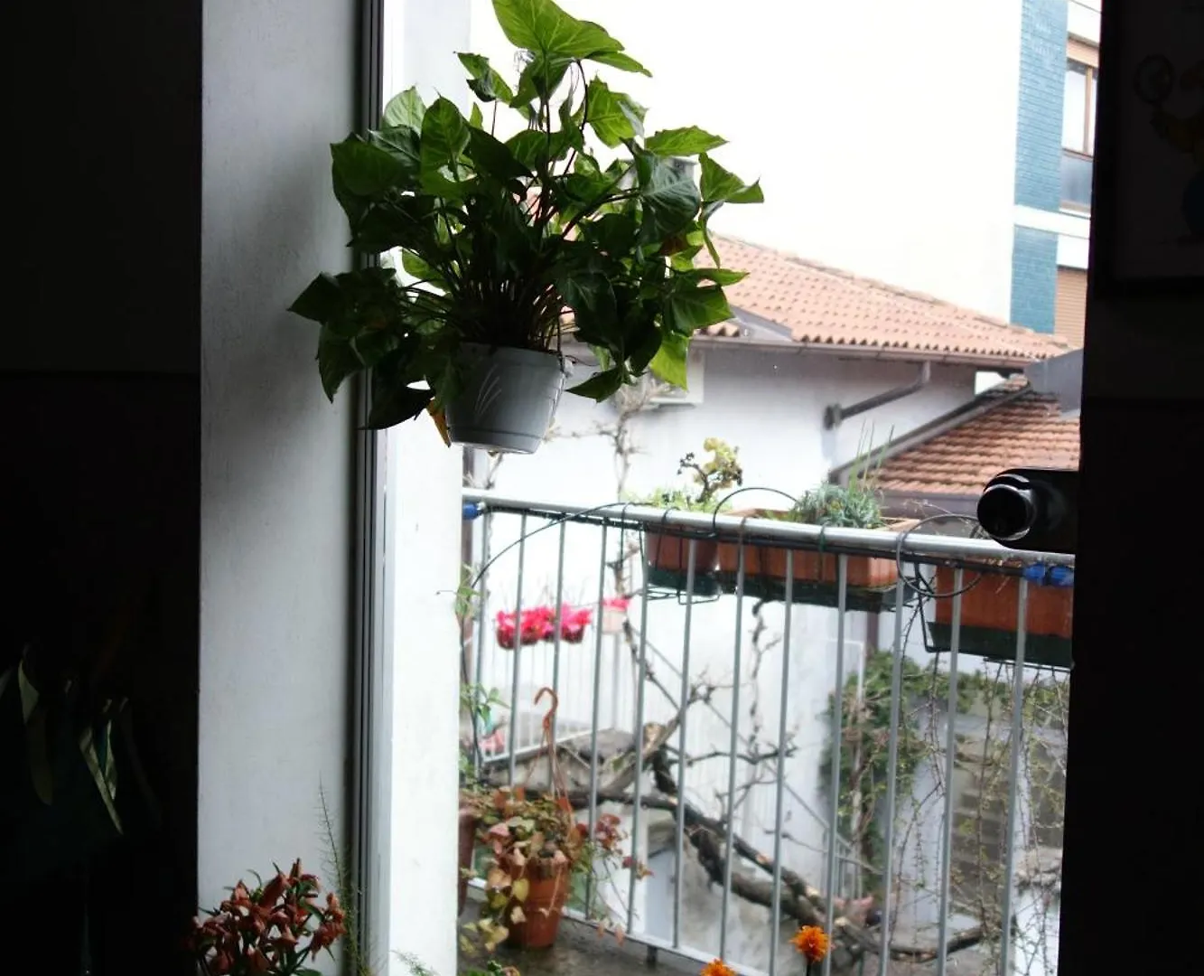 Charming Suite On The Roofs Of Navigli Milan Italy